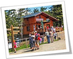 Gipfelstürmer Wurmberg Braunlage/Harz/Niedersachsen Gipfelstürmer Wurmberg Braunlage/Harz/Niedersachsen